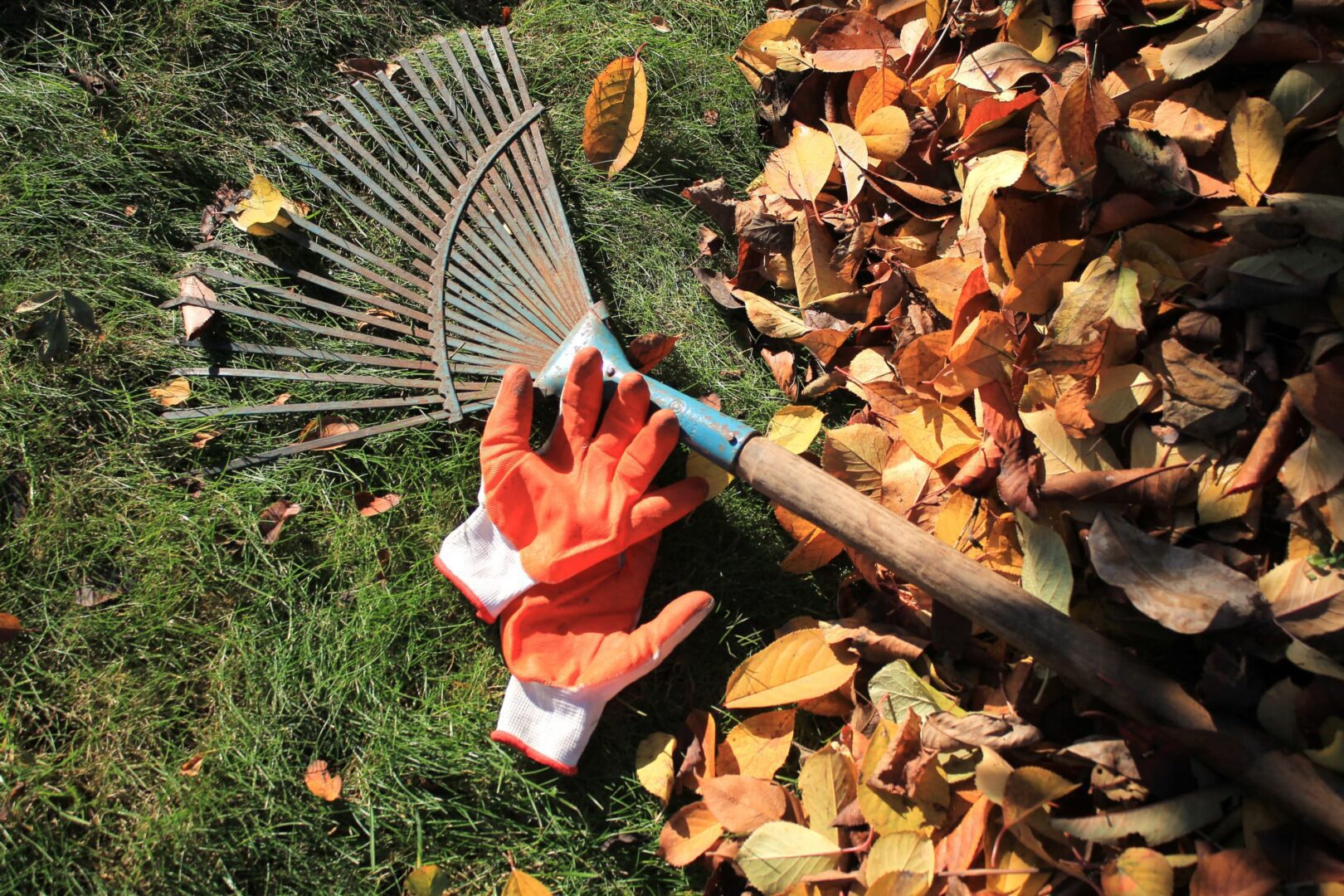 raking leaves