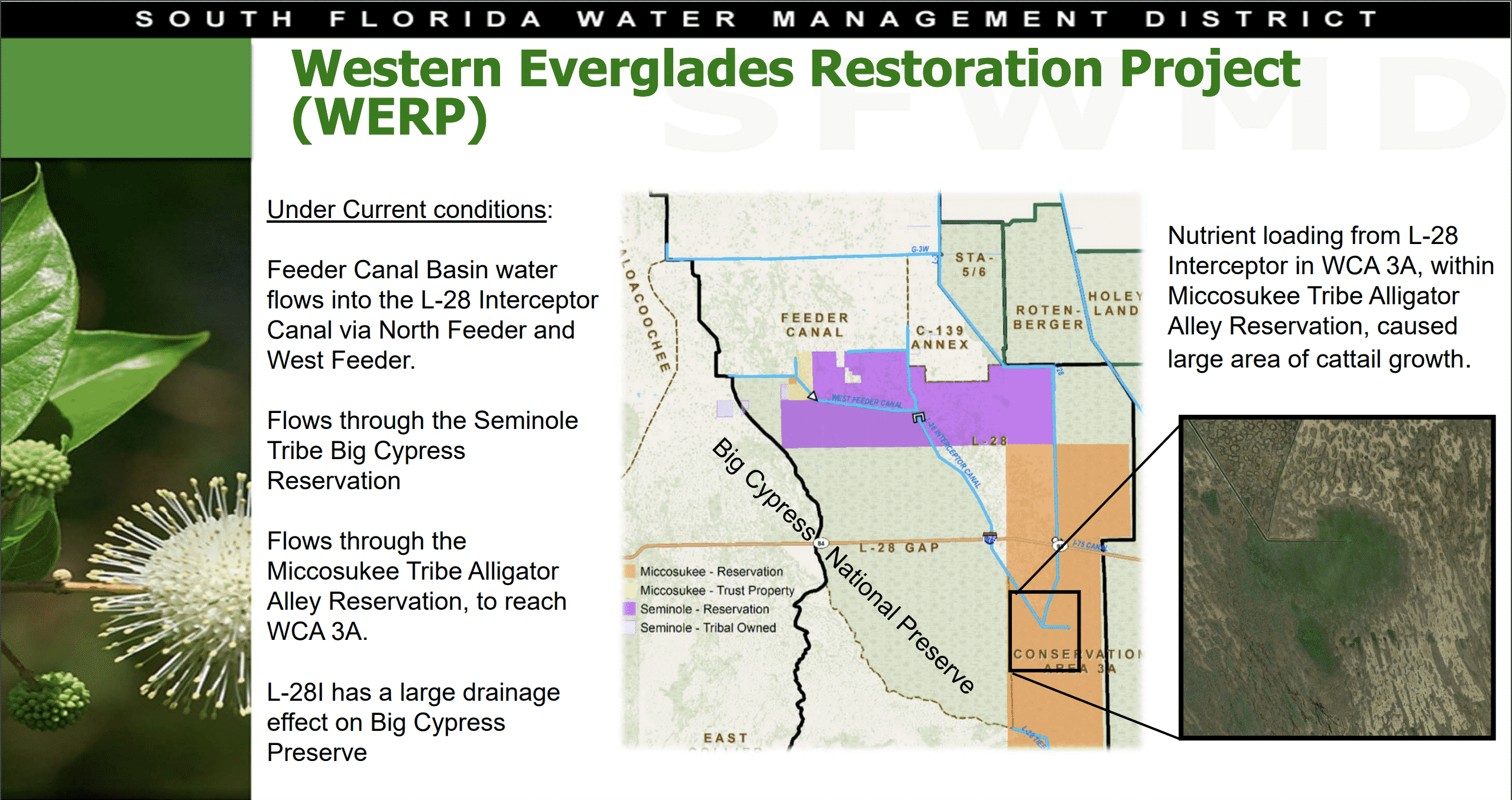 Western Everglades Restoration Project